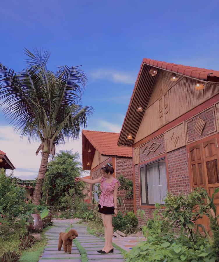Trang An Lighthouse Homestay Ninh Binh